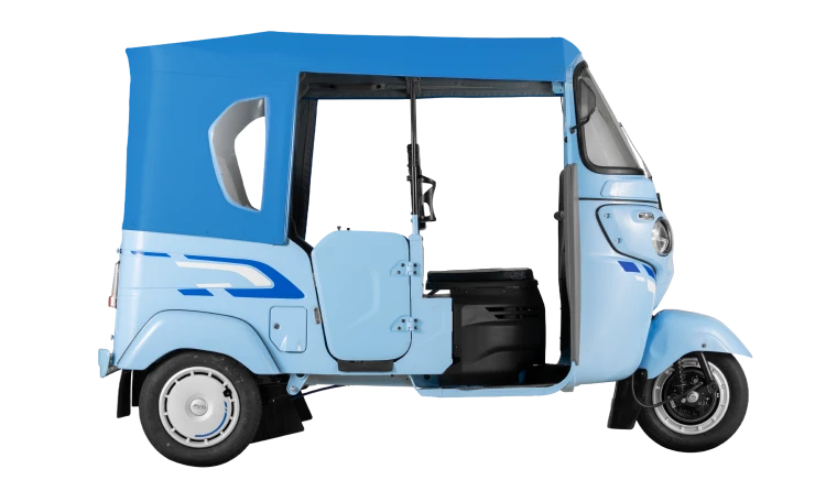 WEGO P7009